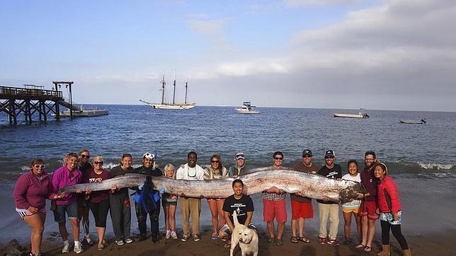 monstruo-california