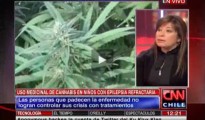 marihuana-medicinal-cnn