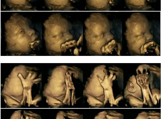 fumar-durante-embarazo