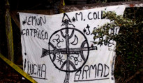 mapuche terroristas